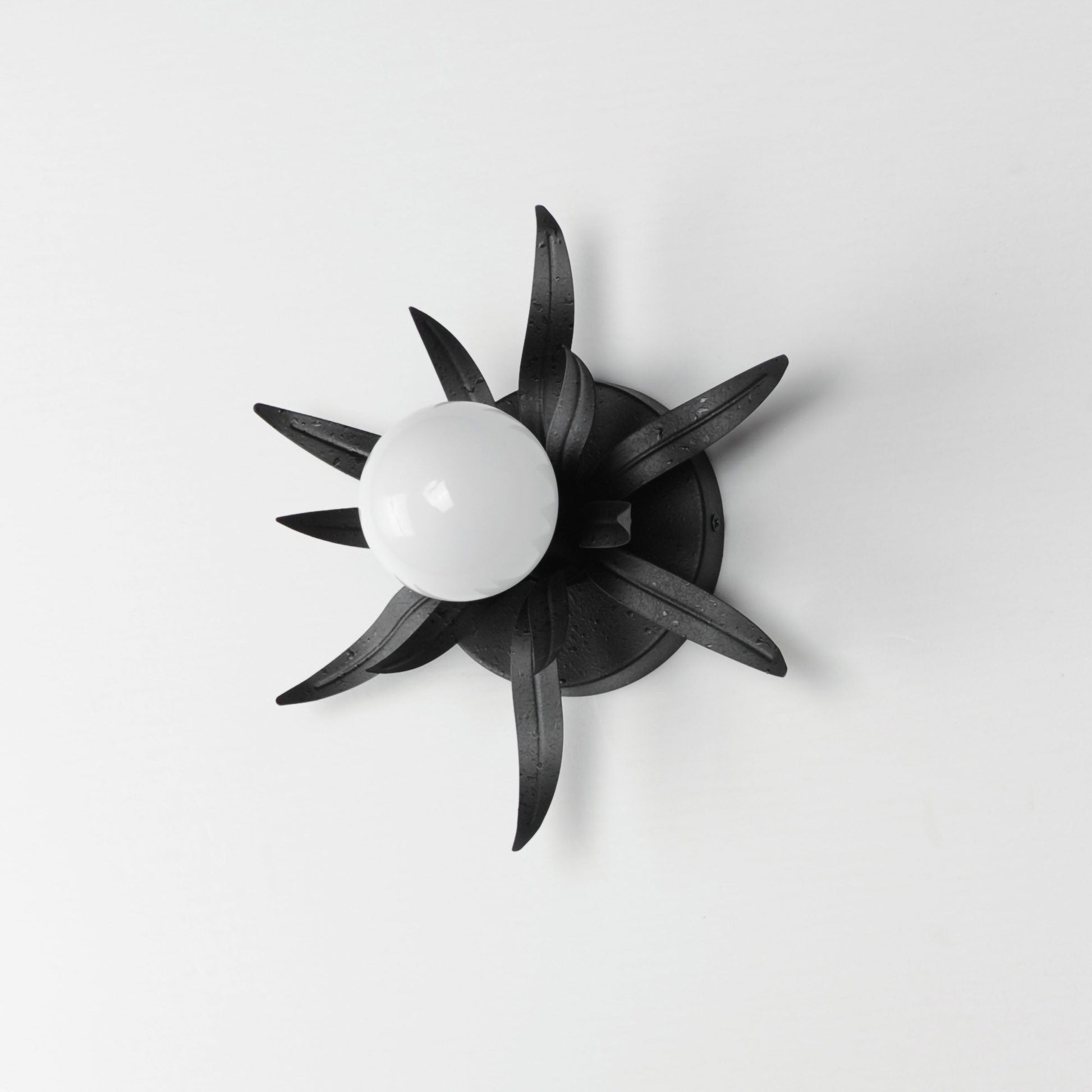 Paloma Bath Wall Light in Detail.