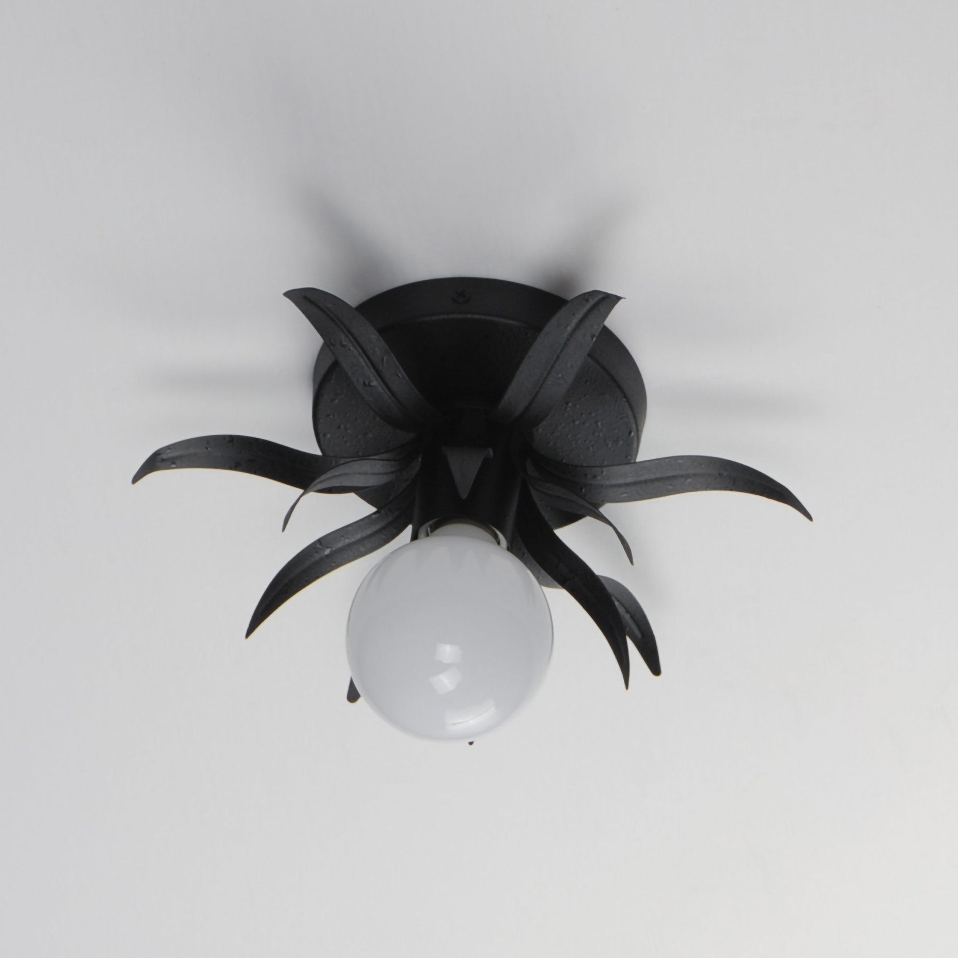 Paloma Bath Wall Light in Detail.