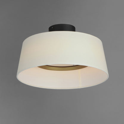 Paramount LED Flush Mount Ceiling Light in Detail.
