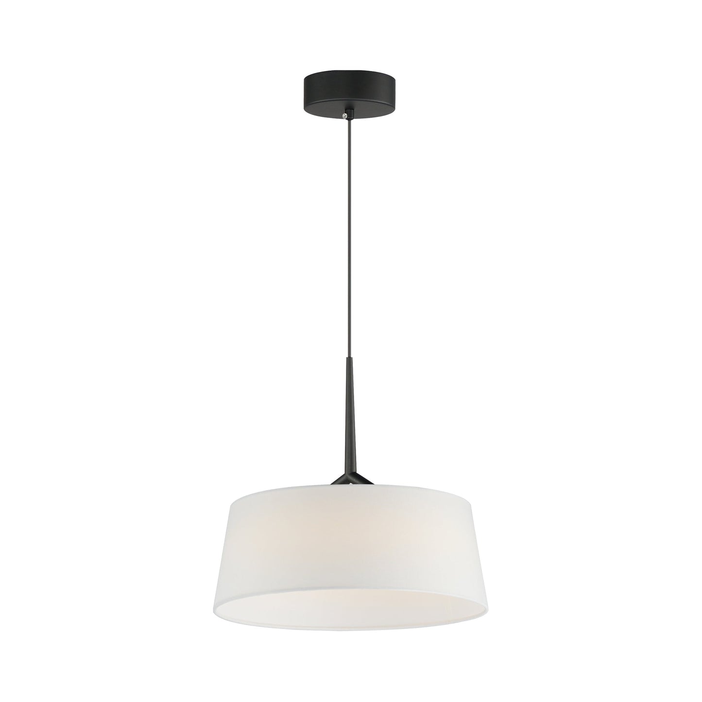 Paramount LED Pendant Light in Black (16-Inch).