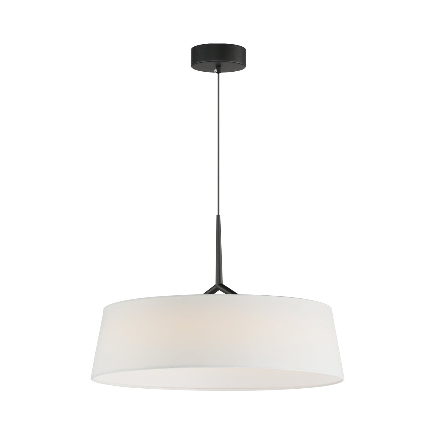 Paramount LED Pendant Light in Black (21.25-Inch).