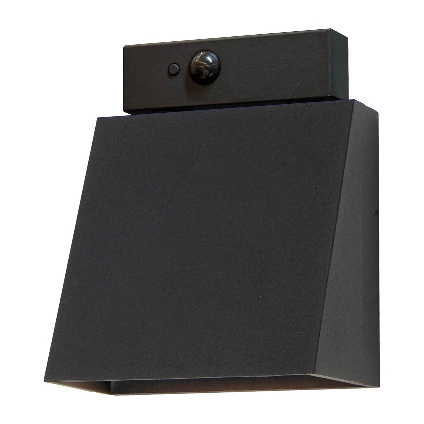 Pathfinder Outdoor LED Wall Light in Black (Small/Motion Sensor).
