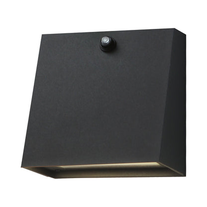 Pathfinder Outdoor LED Wall Light in Black (Small/Photocell & Selected CCT).