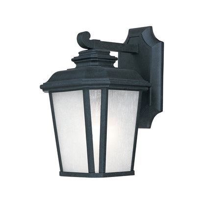 Radcliffe Outdoor Wall Light (11.25-Inch).