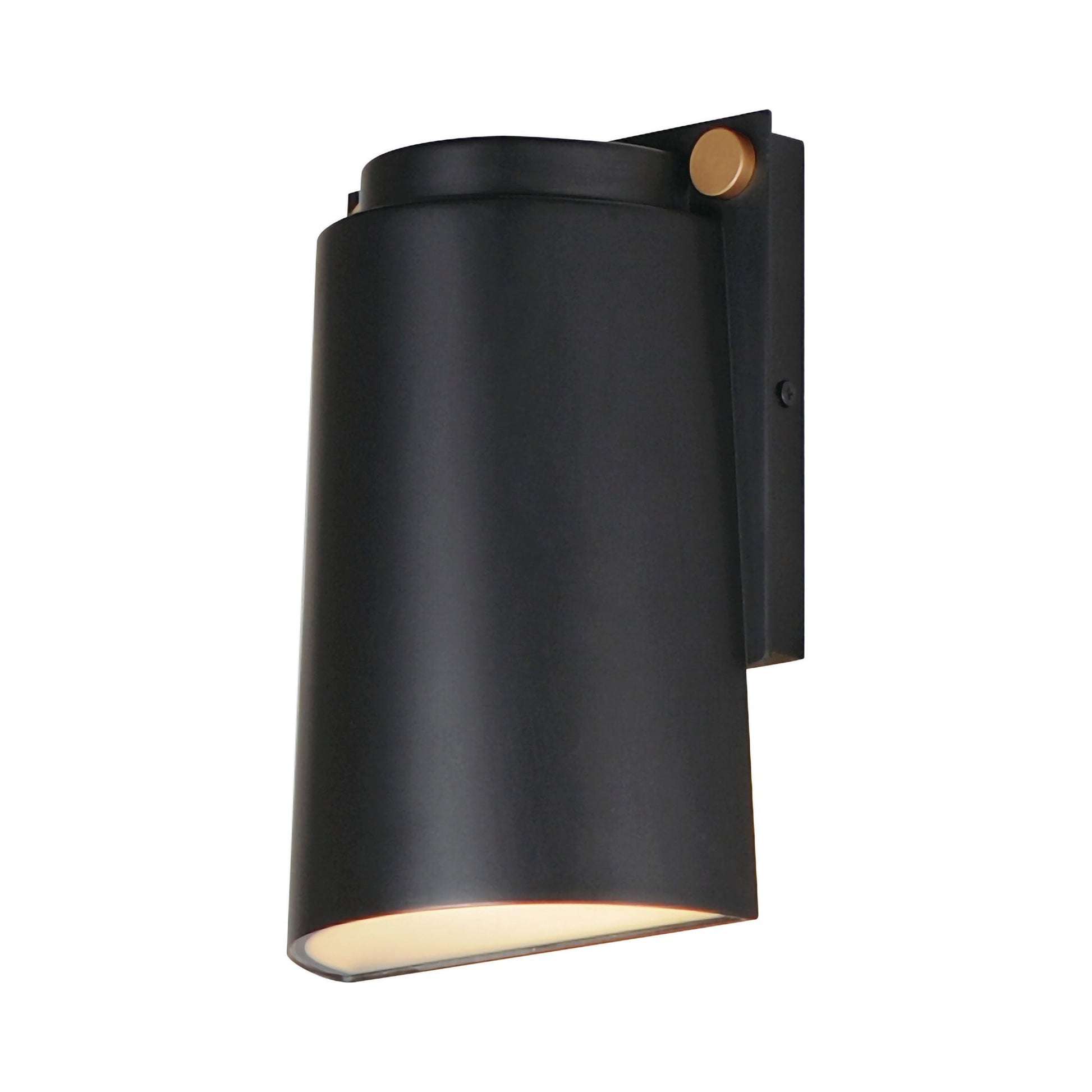 Rivet Outdoor LED Wall Light (9.5-Inch).
