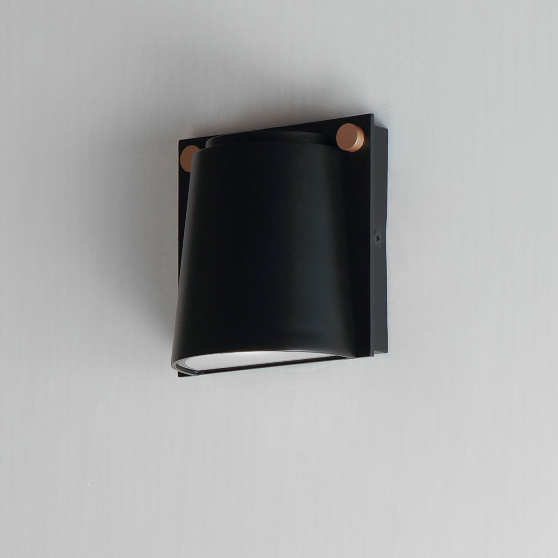 Rivet Outdoor LED Wall Light in Detail.