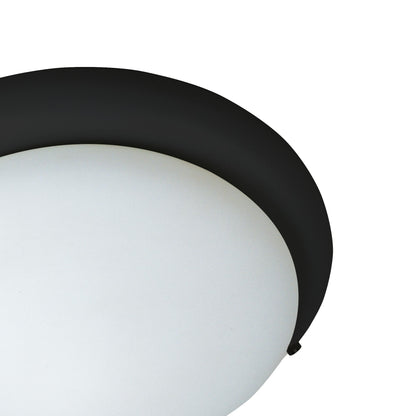 Round Ceiling Fan Light Kit in Detail.