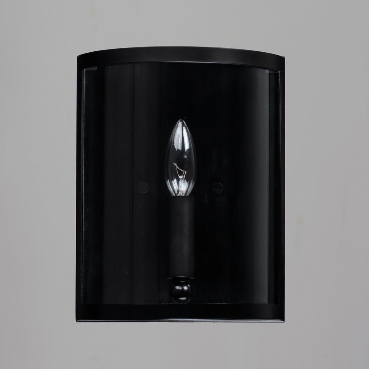 Sentinel Bath Wall Light in Detail.