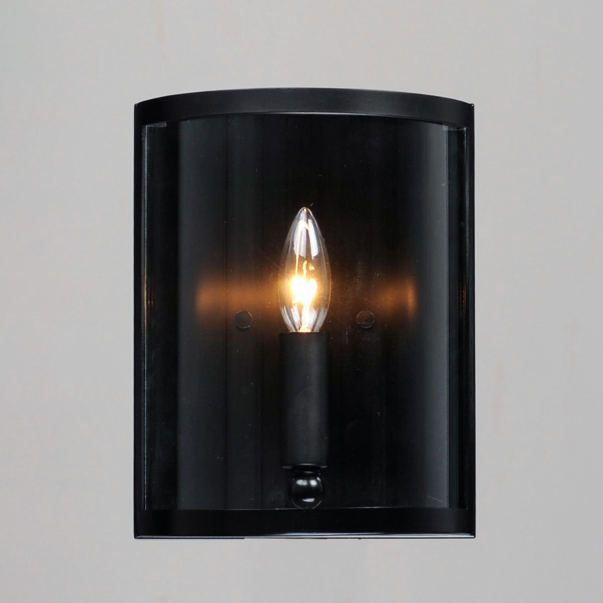 Sentinel Bath Wall Light in Detail.