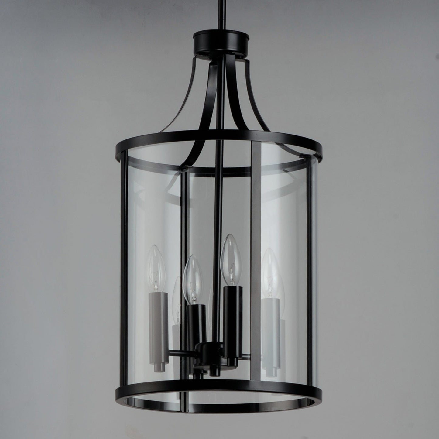 Sentinel Pendant Light in Detail.