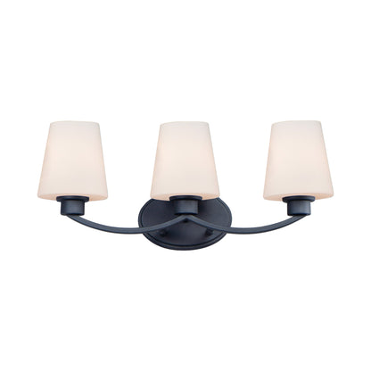 Shelter Bath Vanity Light in Black (3-Light).