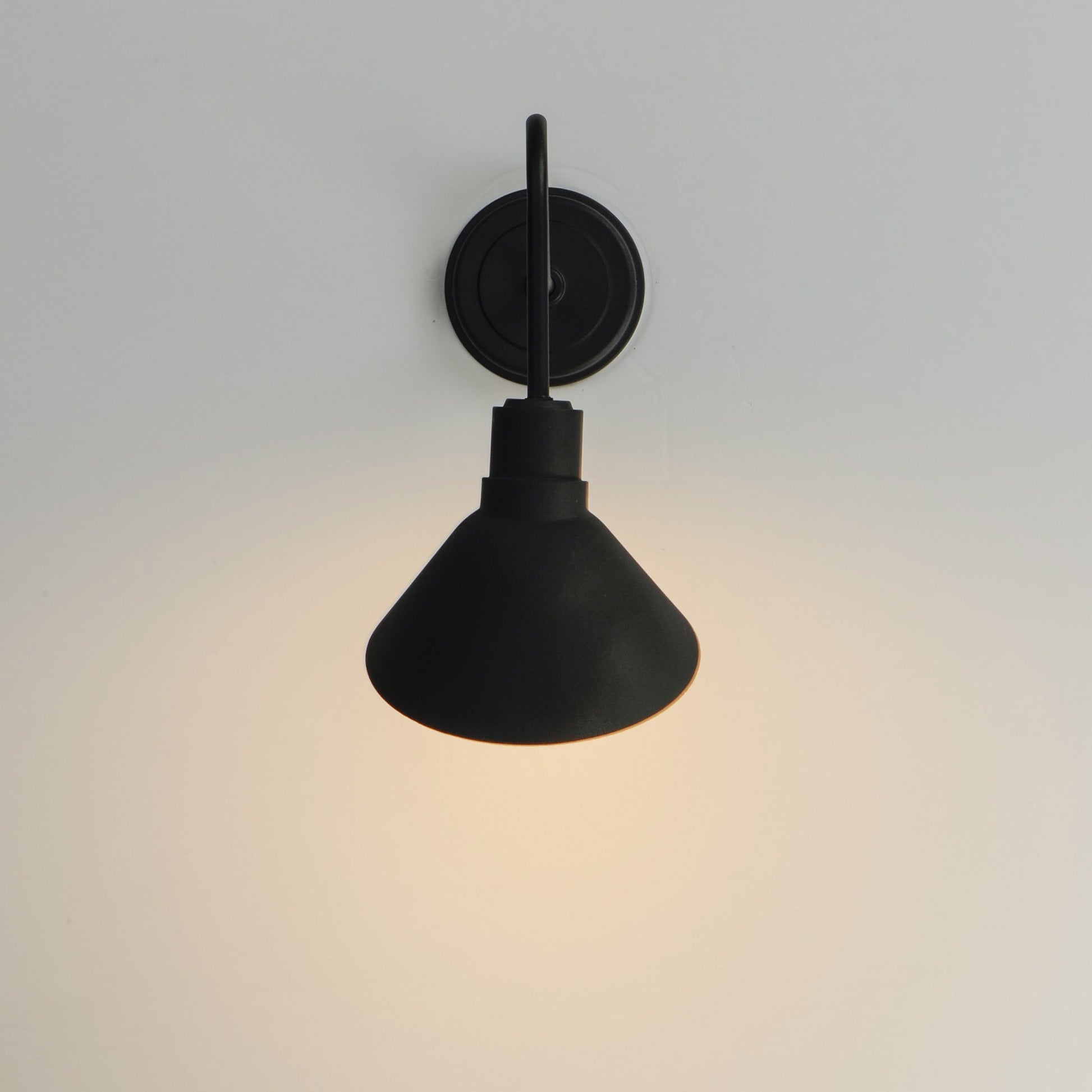 Signlite Outdoor Wall Light in Detail.