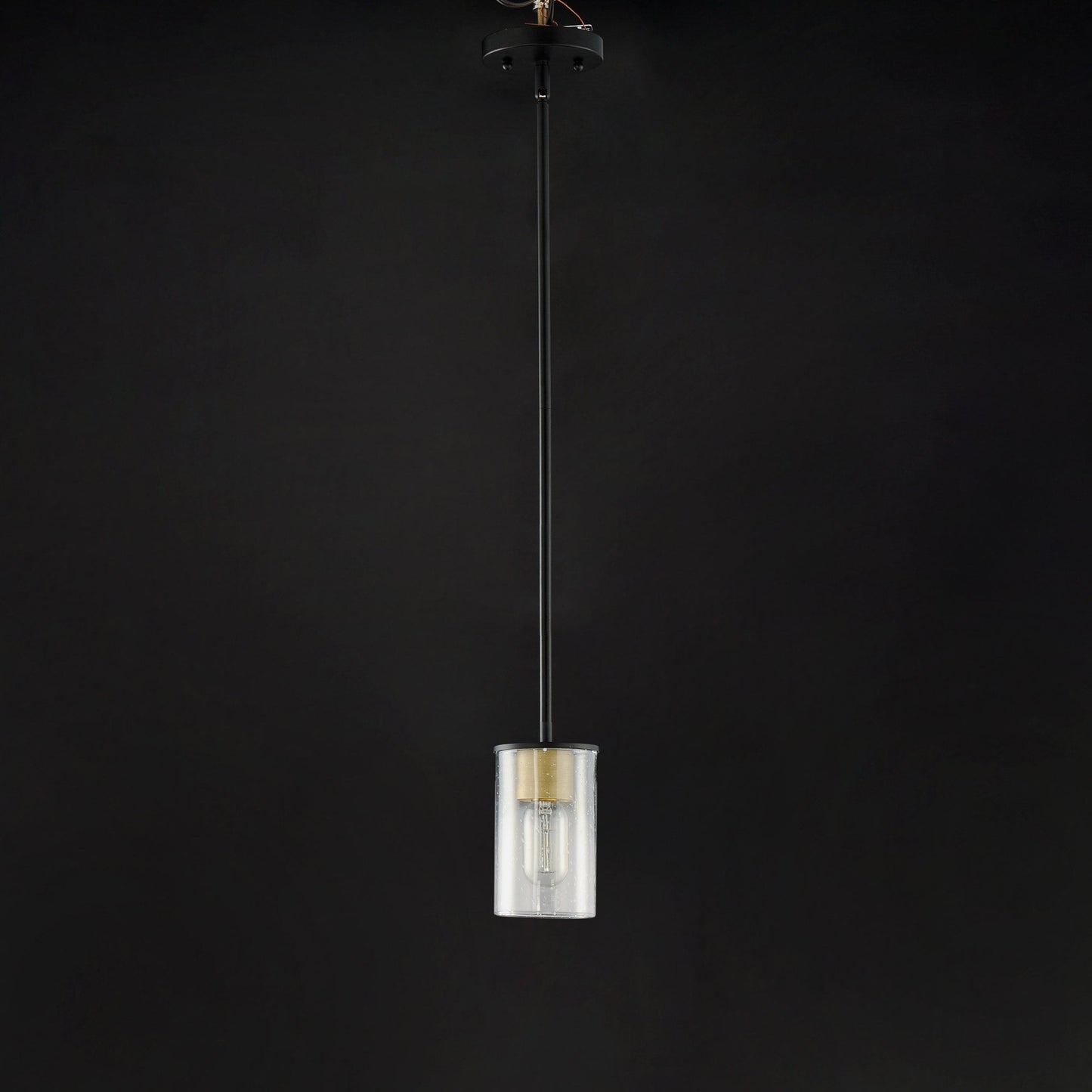 Sleek Mini Pendant Light in Detail.