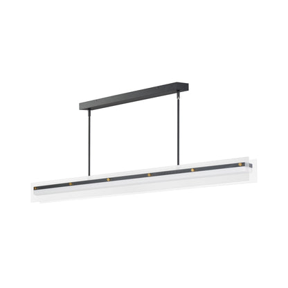 Spectre LED Linear Pendant Light (61-Inch).