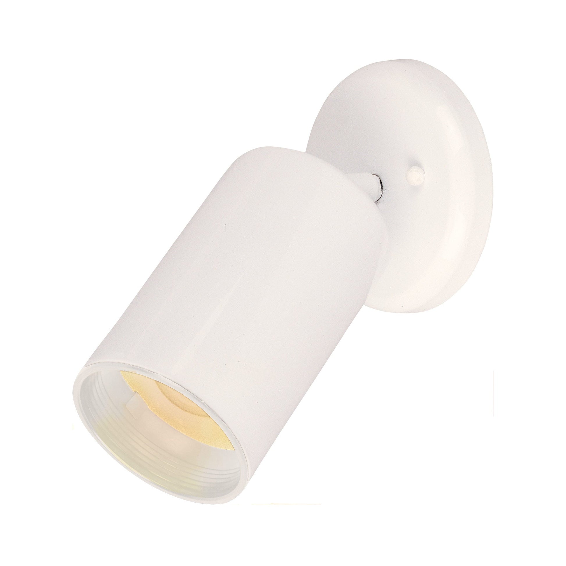 Spots Ceiling / Wall Light in White (1-Light).