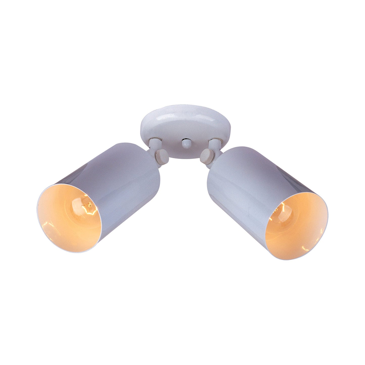 Spots Ceiling / Wall Light in White (2-Light).