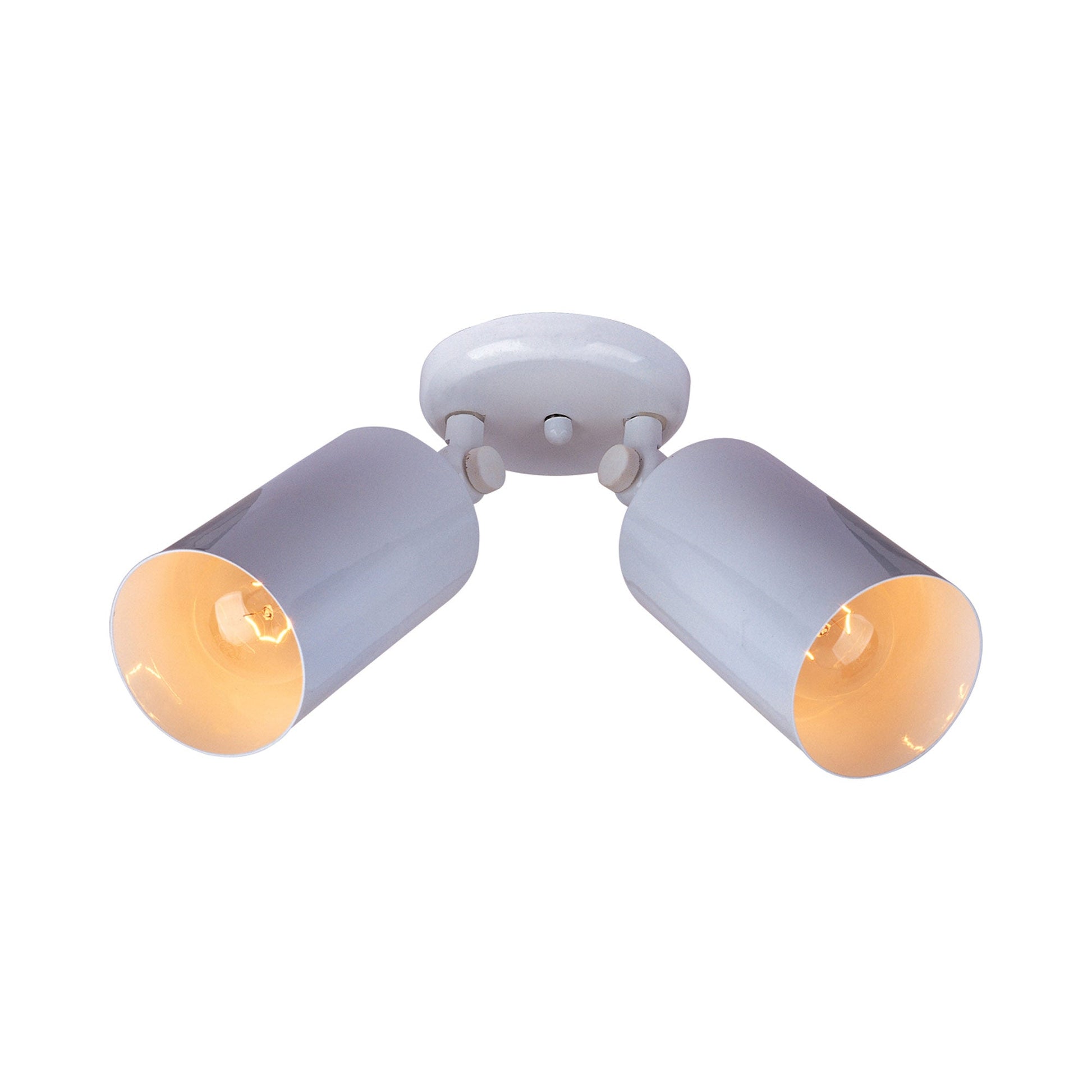 Spots Ceiling / Wall Light in White (2-Light).