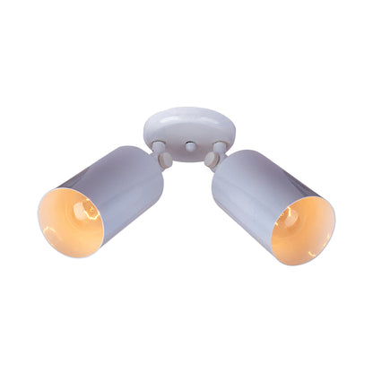 Spots Ceiling / Wall Light in White (2-Light).