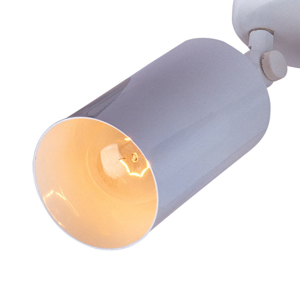 Spots Ceiling / Wall Light in Detail.