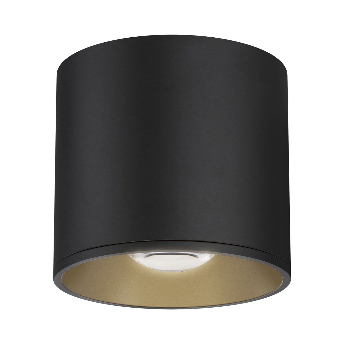 Stout Indoor/Outdoor LED Flush Mount Ceiling Light in Black (Round).