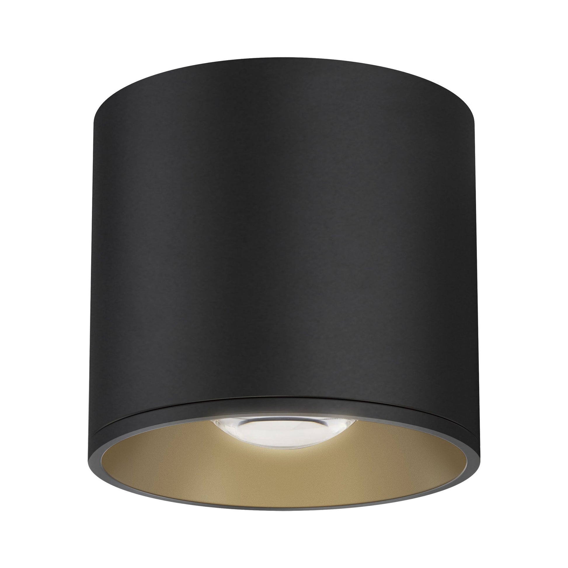 Stout Indoor/Outdoor LED Flush Mount Ceiling Light.