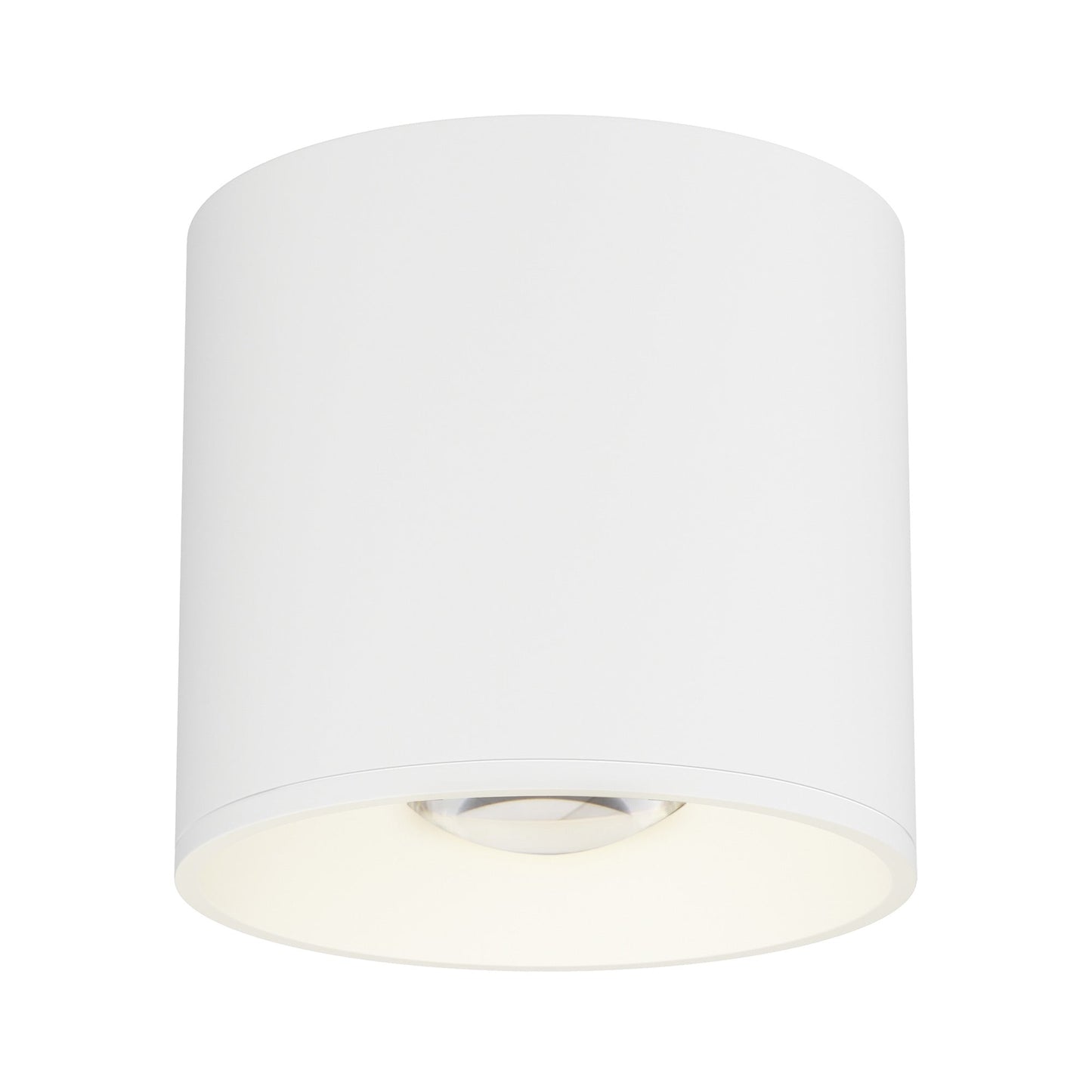 Stout Indoor/Outdoor LED Flush Mount Ceiling Light in White (Round).