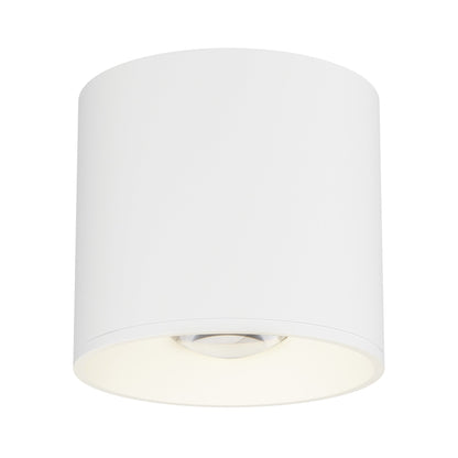 Stout Indoor/Outdoor LED Flush Mount Ceiling Light in White (Round).