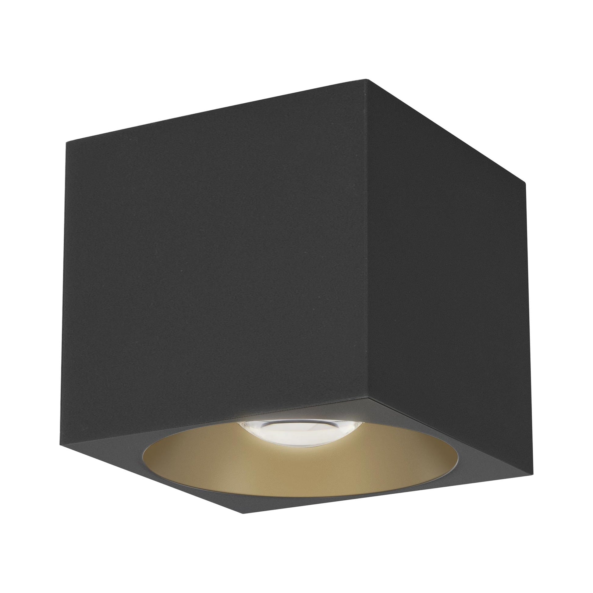 Stout Indoor/Outdoor LED Flush Mount Ceiling Light in Black (Square).