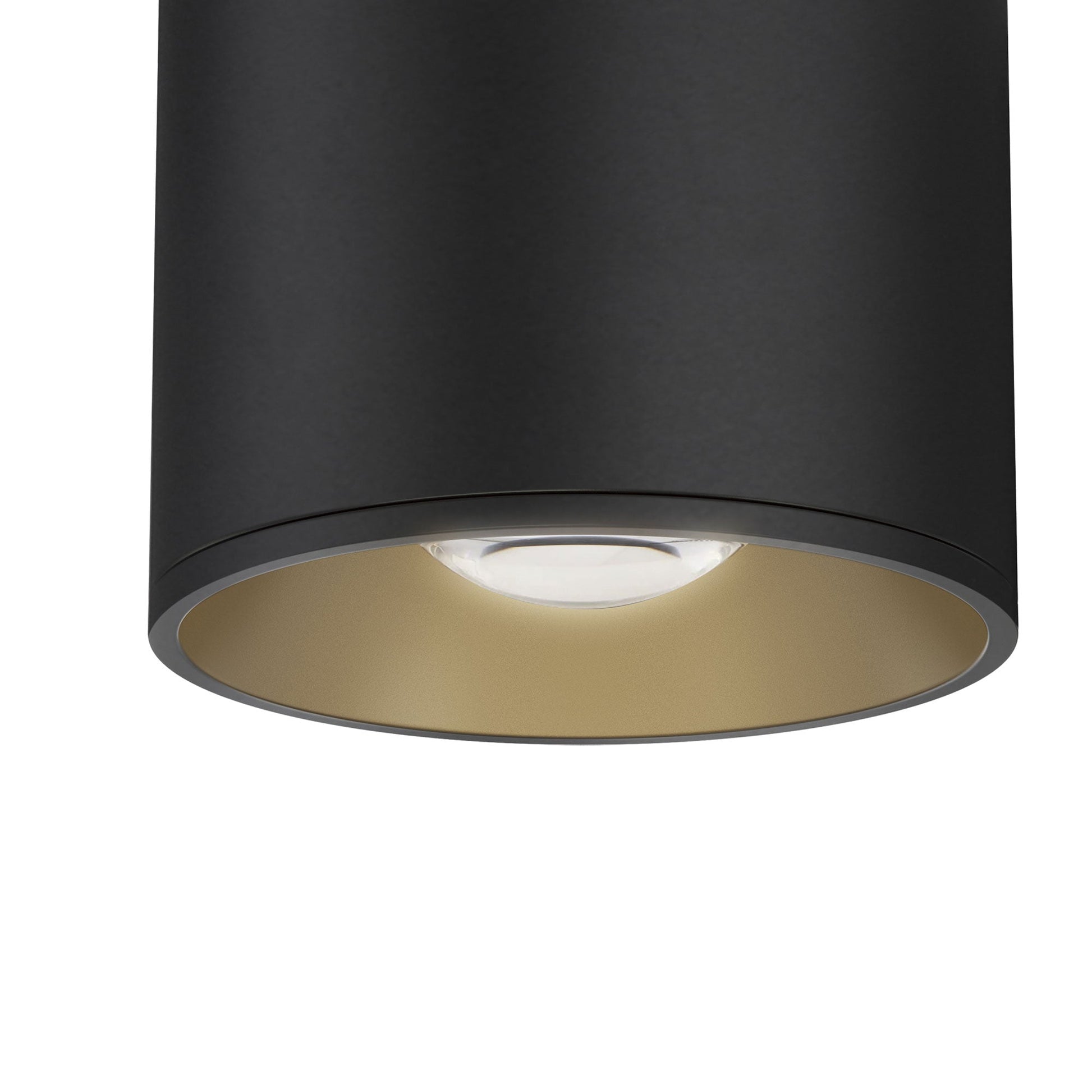 Stout Indoor/Outdoor LED Flush Mount Ceiling Light in Detail.