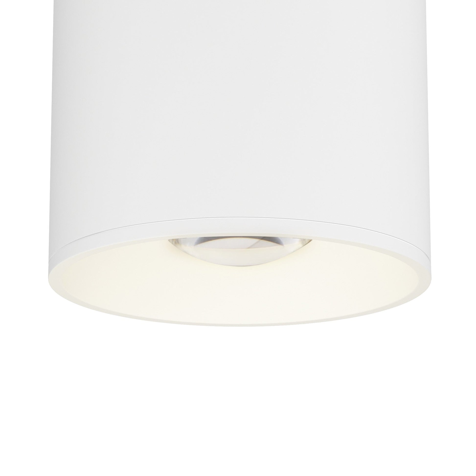 Stout Indoor/Outdoor LED Flush Mount Ceiling Light in Detail.