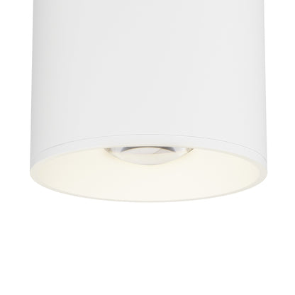 Stout Indoor/Outdoor LED Flush Mount Ceiling Light in Detail.