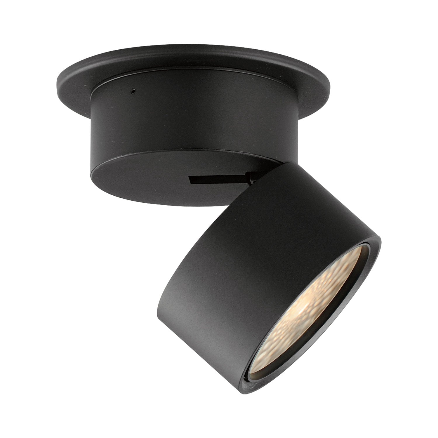 Swinger LED Flush Mount Ceiling Light in Black (4-Inch).
