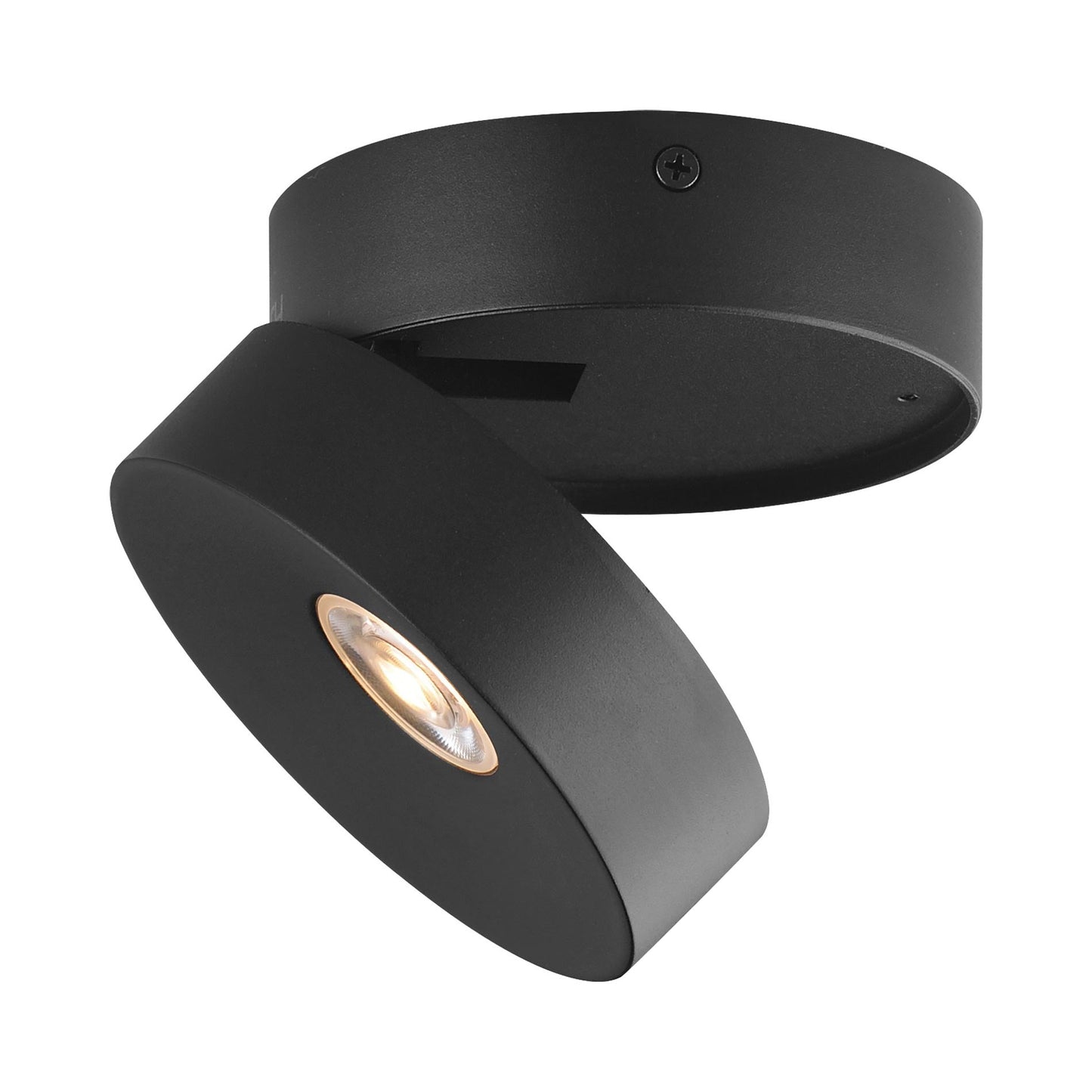 Swinger Outdoor Adjustable LED Flush Mount Ceiling Light in Black.