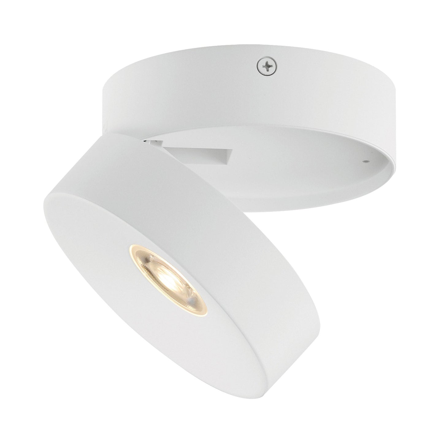 Swinger Outdoor Adjustable LED Flush Mount Ceiling Light in White.