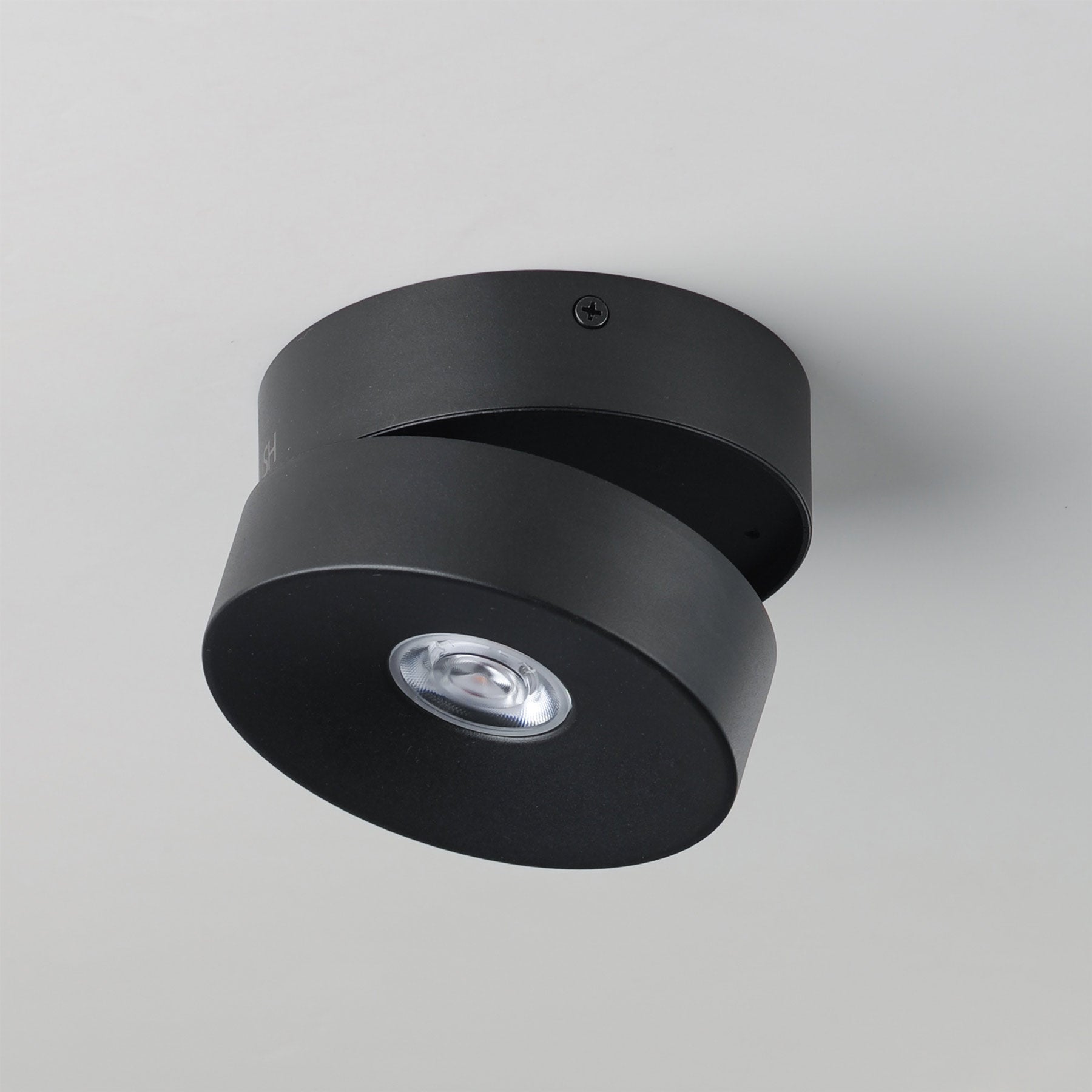 Swinger Outdoor Adjustable LED Flush Mount Ceiling Light in Detail.