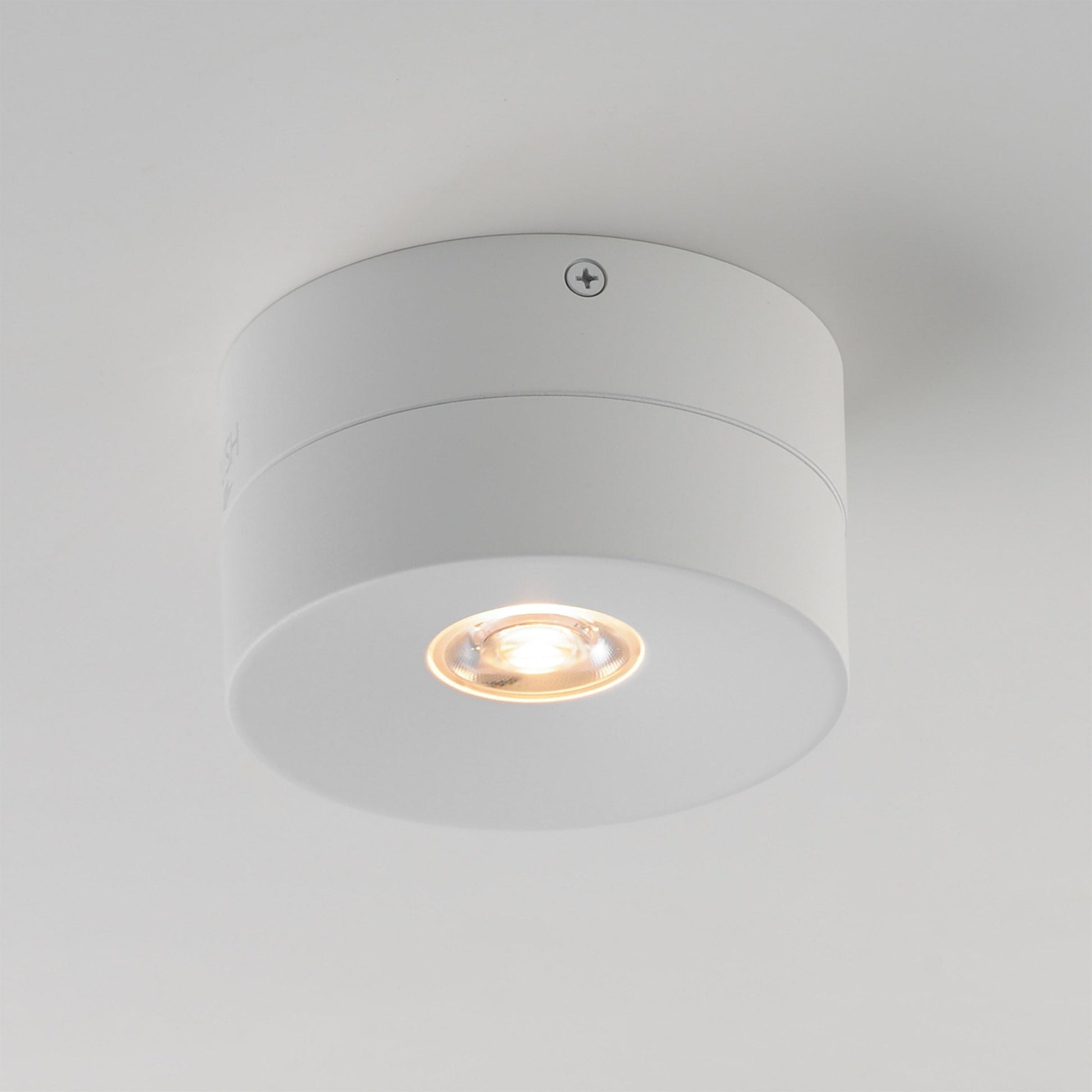 Swinger Outdoor Adjustable LED Flush Mount Ceiling Light in Detail.