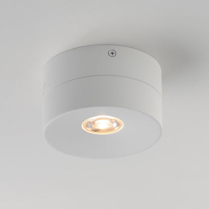 Swinger Outdoor Adjustable LED Flush Mount Ceiling Light in Detail.