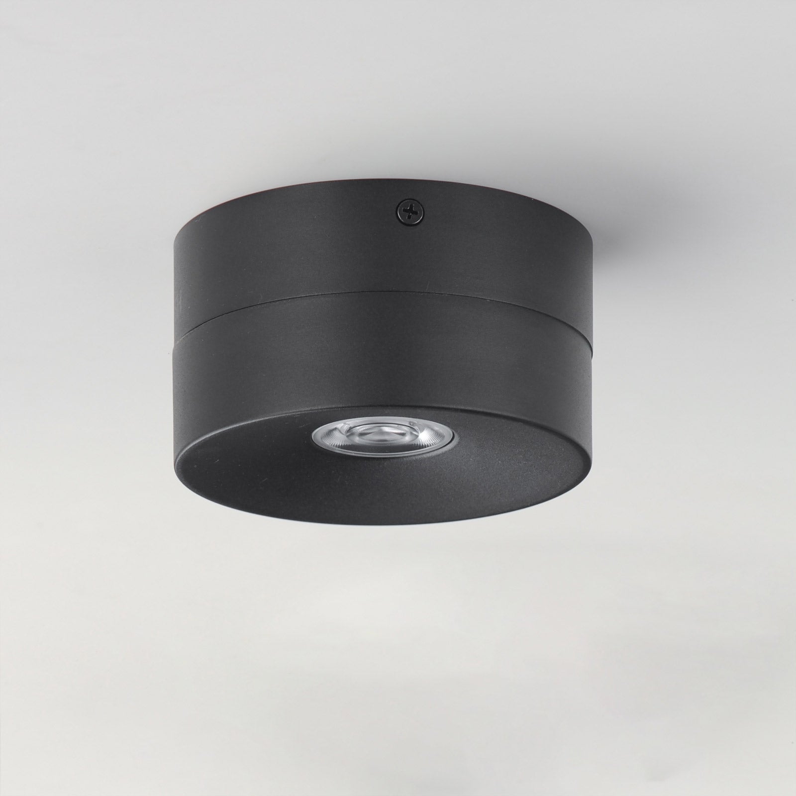 Swinger Outdoor Adjustable LED Flush Mount Ceiling Light in Detail.