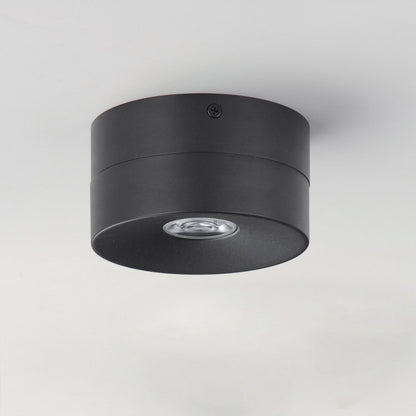 Swinger Outdoor Adjustable LED Flush Mount Ceiling Light in Detail.
