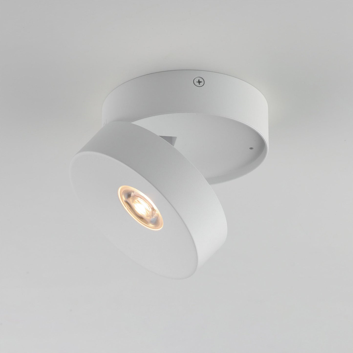Swinger Outdoor Adjustable LED Flush Mount Ceiling Light in Detail.