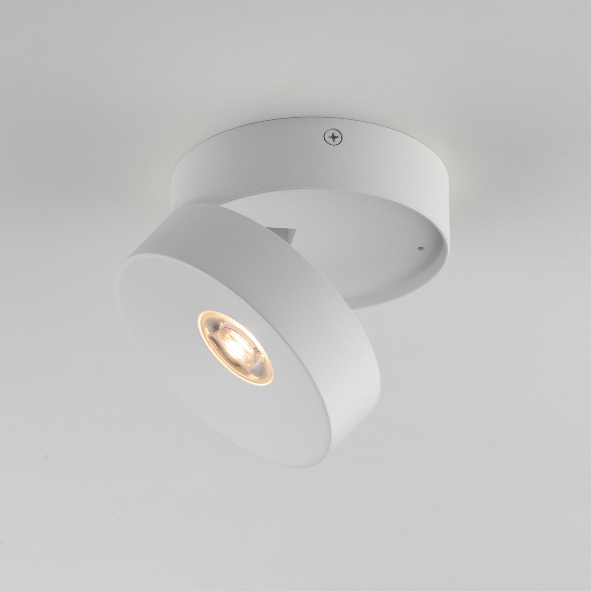 Swinger Outdoor Adjustable LED Flush Mount Ceiling Light in Detail.