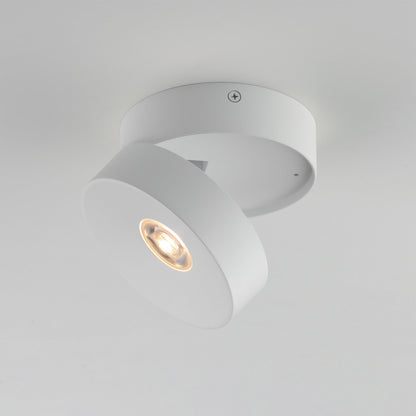 Swinger Outdoor Adjustable LED Flush Mount Ceiling Light in Detail.