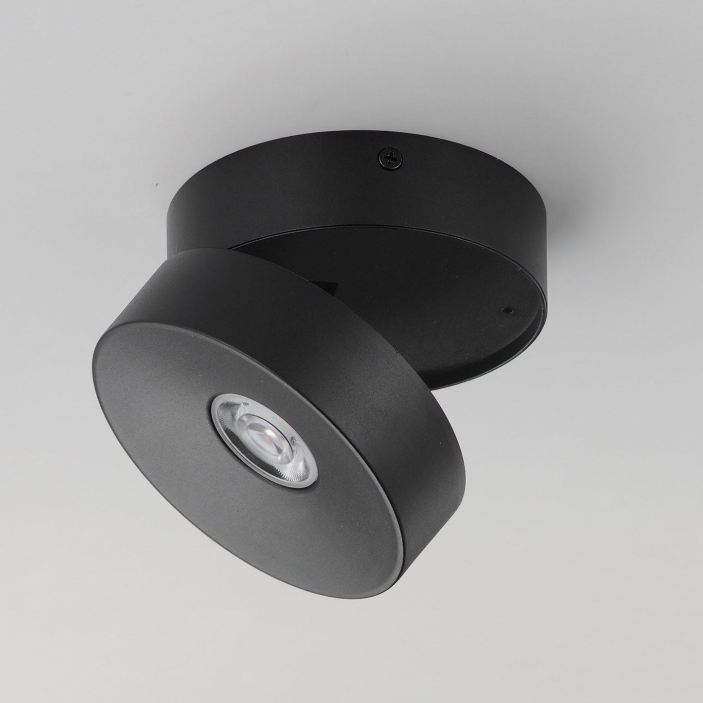 Swinger Outdoor Adjustable LED Flush Mount Ceiling Light in Detail.