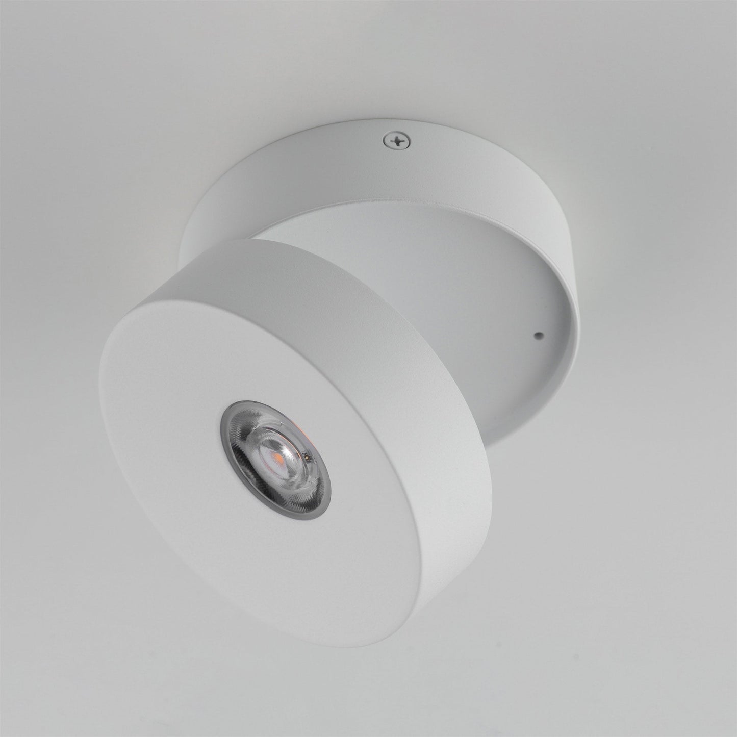 Swinger Outdoor Adjustable LED Flush Mount Ceiling Light in Detail.