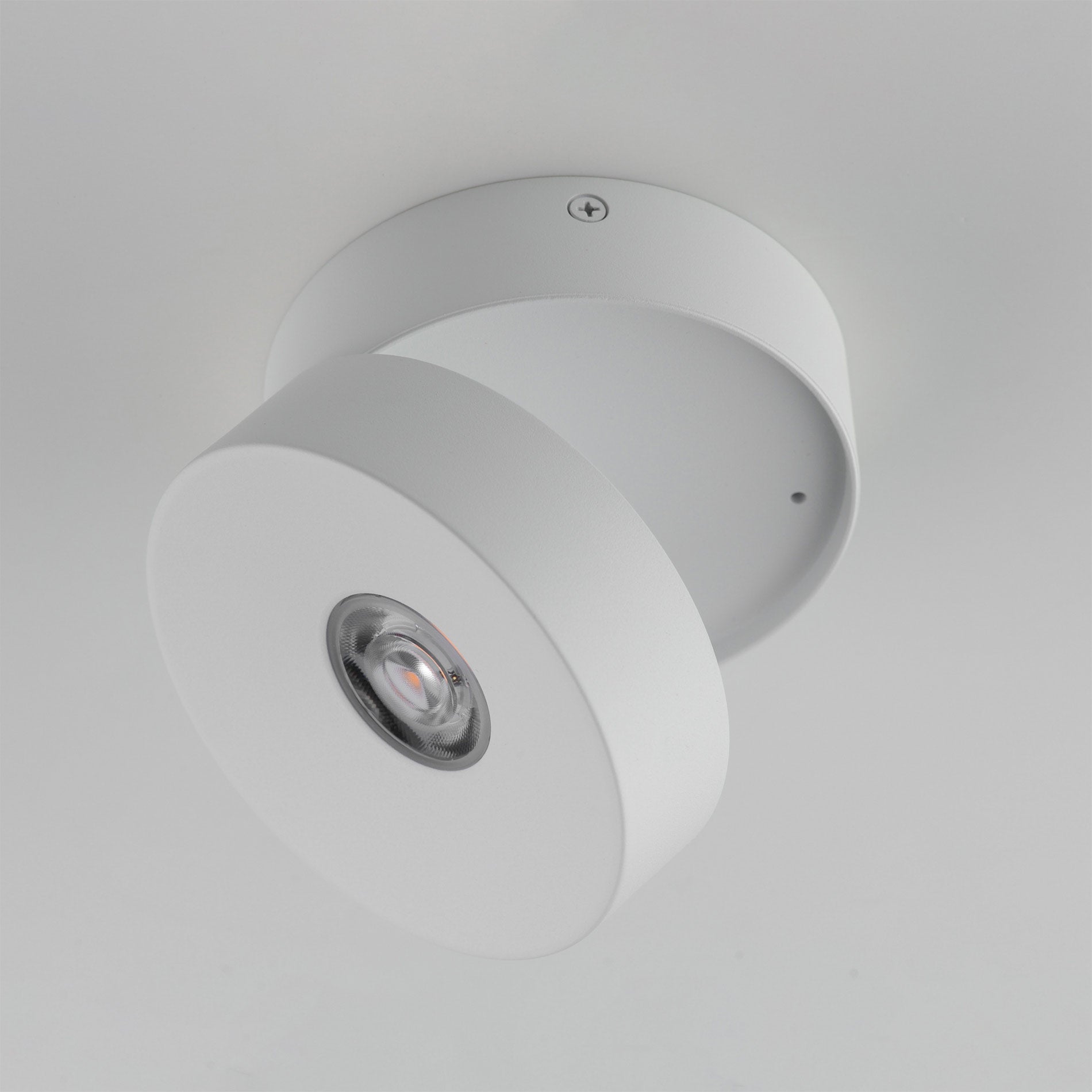 Swinger Outdoor Adjustable LED Flush Mount Ceiling Light in Detail.