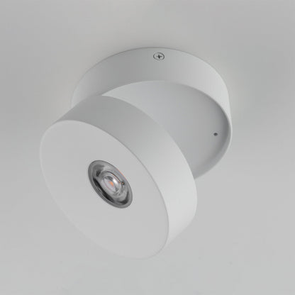 Swinger Outdoor Adjustable LED Flush Mount Ceiling Light in Detail.