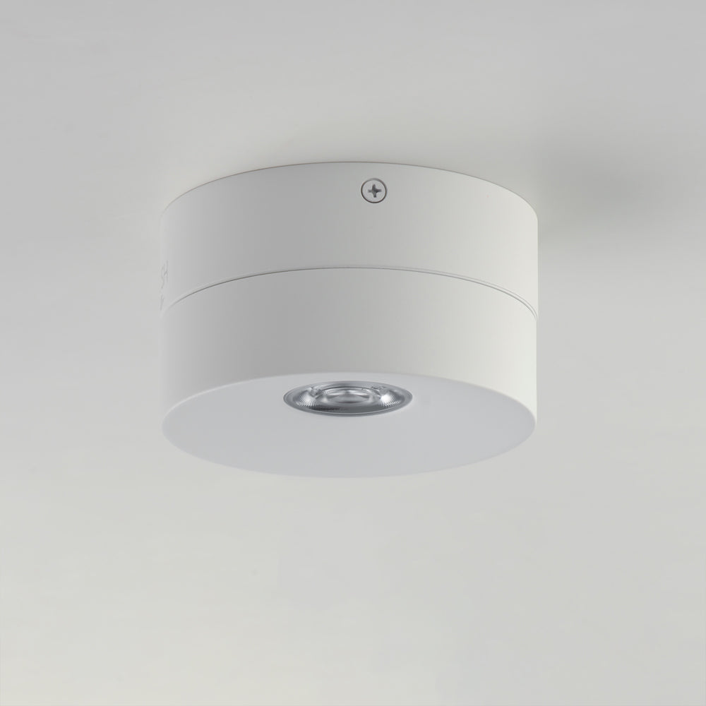 Swinger Outdoor Adjustable LED Flush Mount Ceiling Light in Detail.
