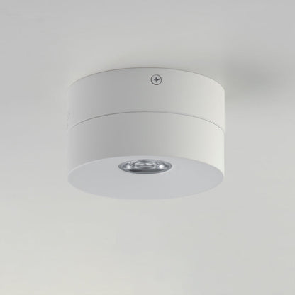 Swinger Outdoor Adjustable LED Flush Mount Ceiling Light in Detail.