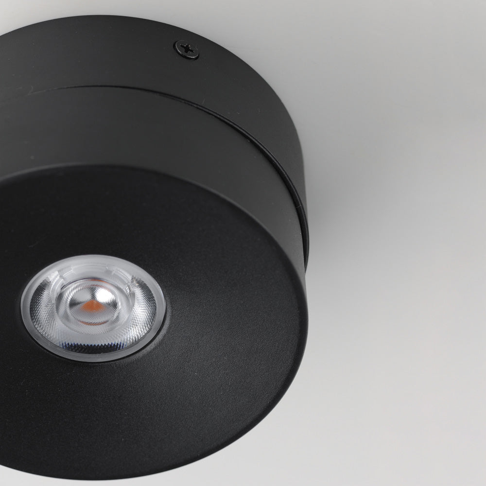 Swinger Outdoor Adjustable LED Flush Mount Ceiling Light in Detail.