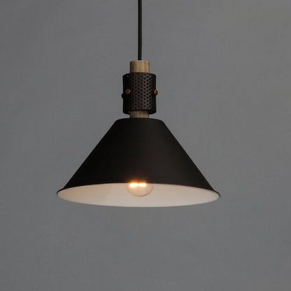 Tucson Single Pendant Light in Detail.